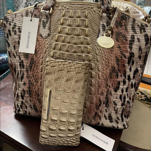 brahmin prowl duxbury